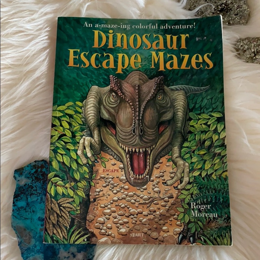 SALE!! Dinosaur Escape Mazes with answer key